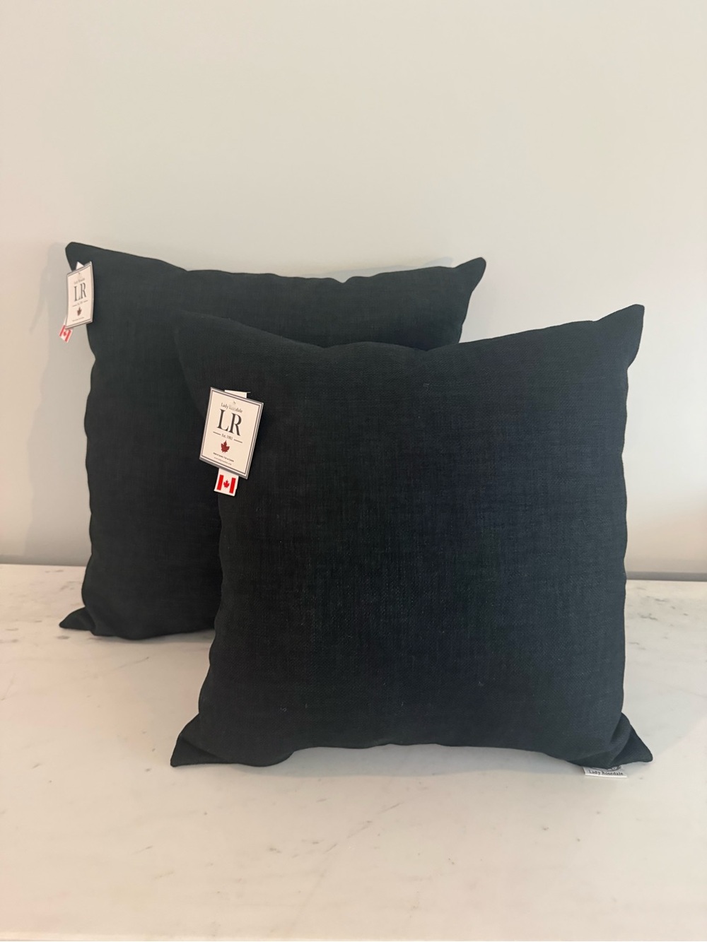 Indoor/Outdoor Accent Pillows- Set of 2